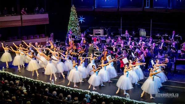 KWS takes their Christmas spectacle online