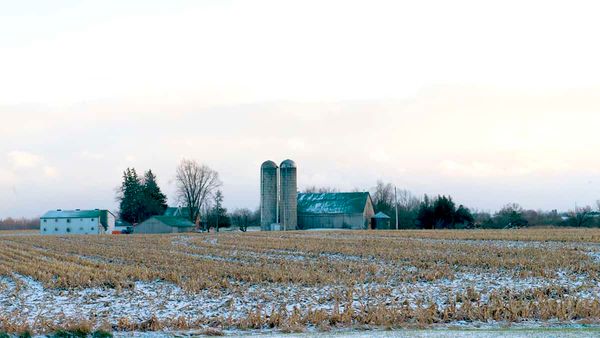 Winter likely to be milder, but with more precipitation