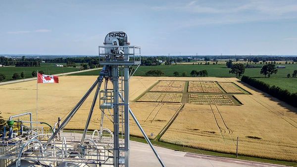 Scaled back, but Seeds Canada venture will move ahead