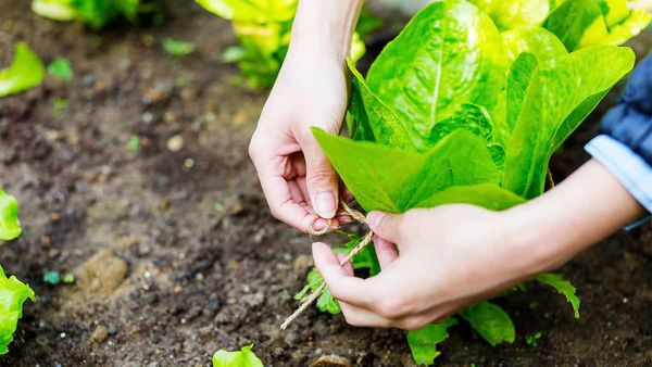 Grand River Ag. Society steps up its support for start-ups