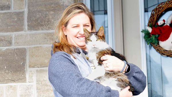 The cat came back the very next … decade