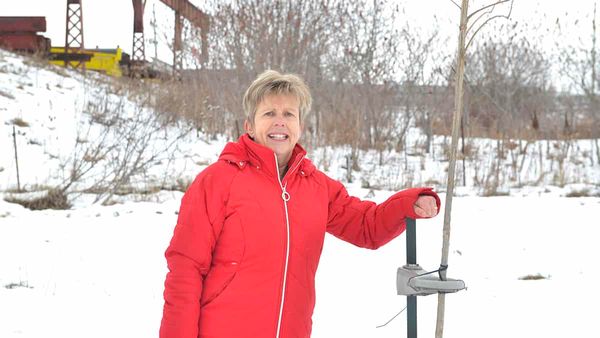 New initiative aimed at greening businesses