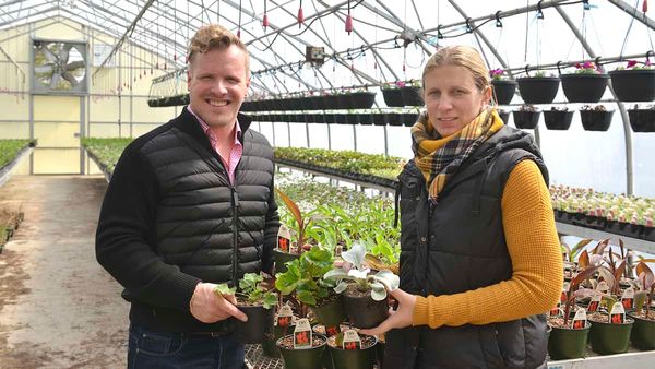 Gardening facing some growing pains