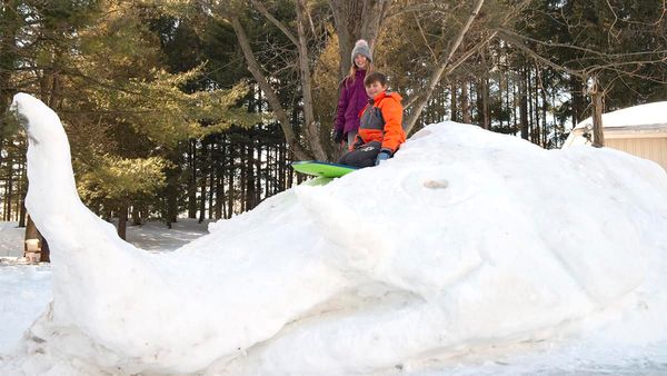 Bamberg kids make 10-foot-tall elephant out of snow