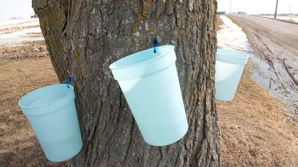 Some spring temperatures, but winter’s not done with us yet