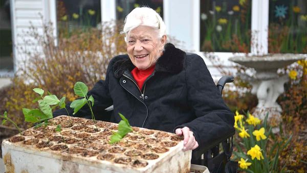 From an acorn a tree will grow