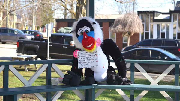 Safari Quest is the latest Elmira scavenger hunt