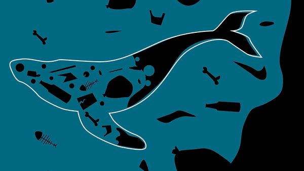 EcoBoosters to host Earth Day webinar