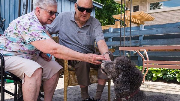 Always ready to support paws for the cause