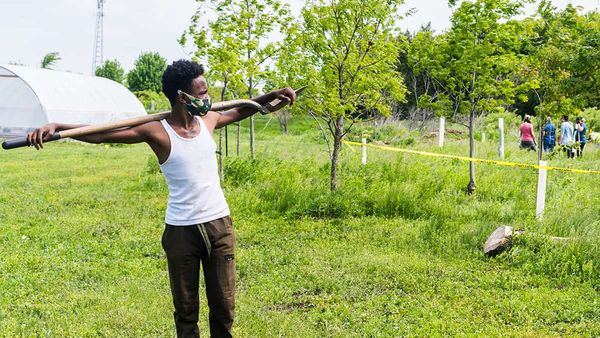 Trees for Woolwich sees major planting push to start the season