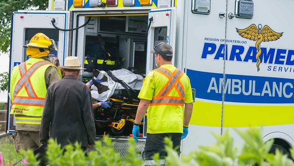 Horse and buggy incident