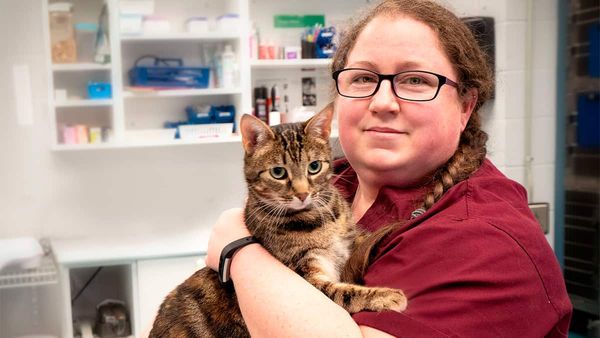 Humane Society launches new foster program