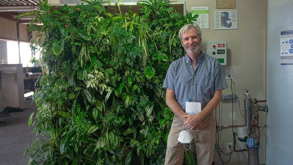 The solution could be up on the roof