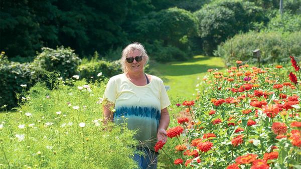 New funding for farmers collaborating under one digital roof