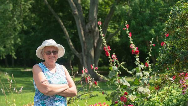 Where have all the flowers gone?