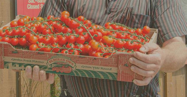 Taste the Countryside event kicks off today