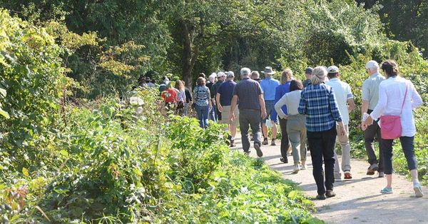 Work on Elmira Nature Reserve is well underway