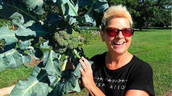 Community garden harvest provides produce for charities