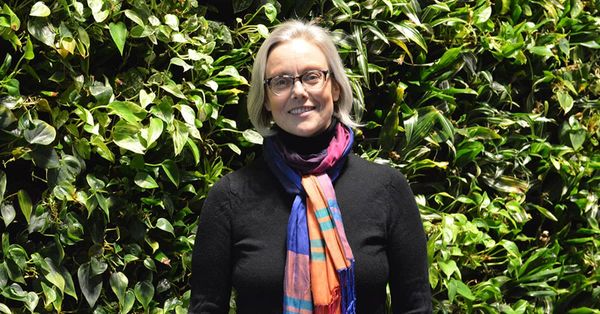 These days, it’s easier being green