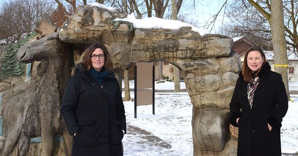 Local trustee to run for Ontario NDP