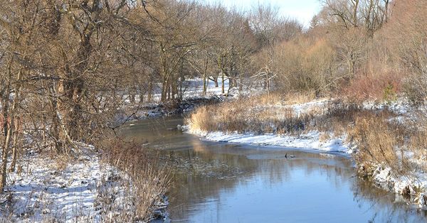 Extreme conditions help define Canada’s top 10 weather stories