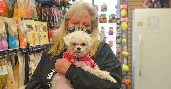 Local shelter among beneficiaries of Betty White challenge