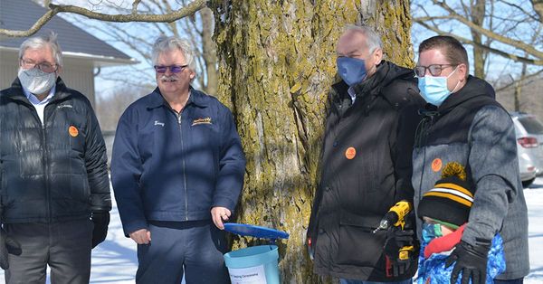 Maple syrup season’s official with first tap