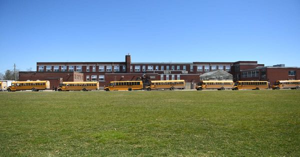 Back-to-basics approach to education