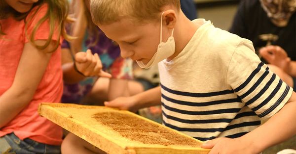 To bee or not to bee?