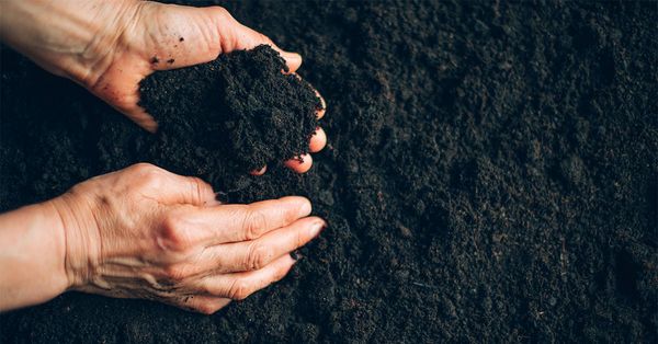 What’s being spread matters in GHG emissions, say UW researchers