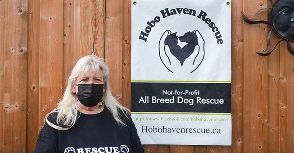 The dog days of summer ain’t always grand