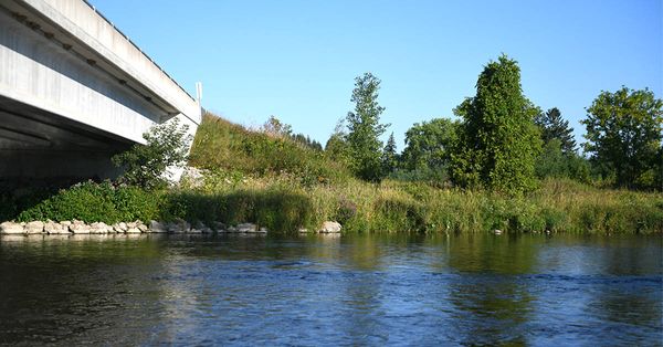 Its health a concern, the Grand River is being analyzed