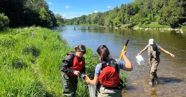 Group looking at ways to improve the health of the Grand River