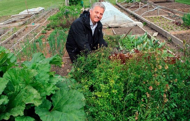                      Gardening as a group effort an added benefit to healthy trend                             
                     