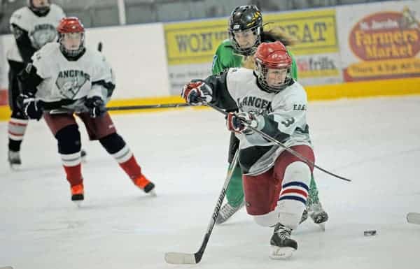 Hockey season off to a strong start at EDSS