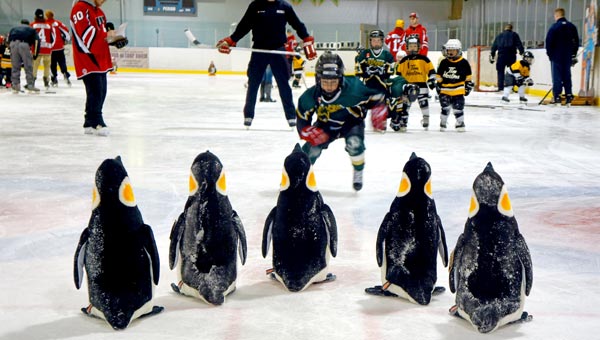 They’ve got the fun on ice for the kids