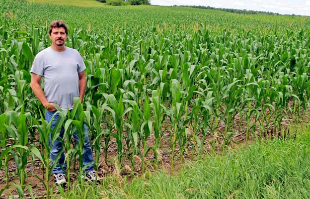                      Mixed-bag weather a mixed blessing for farmers                             
                     
