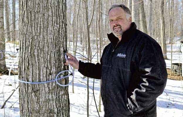                      Maple producers now on the run                             
                     