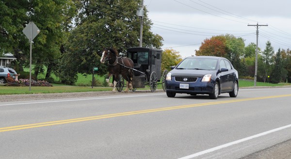 Unlike cars, horses powering the buggies come with a mind of their own, a good reason for drivers to give them a wide berth when passing.[Whitney Neilson / The Observer]