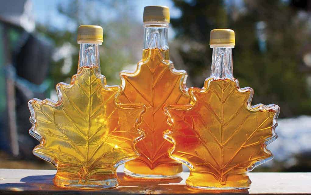 Making good use of the maple syrup season