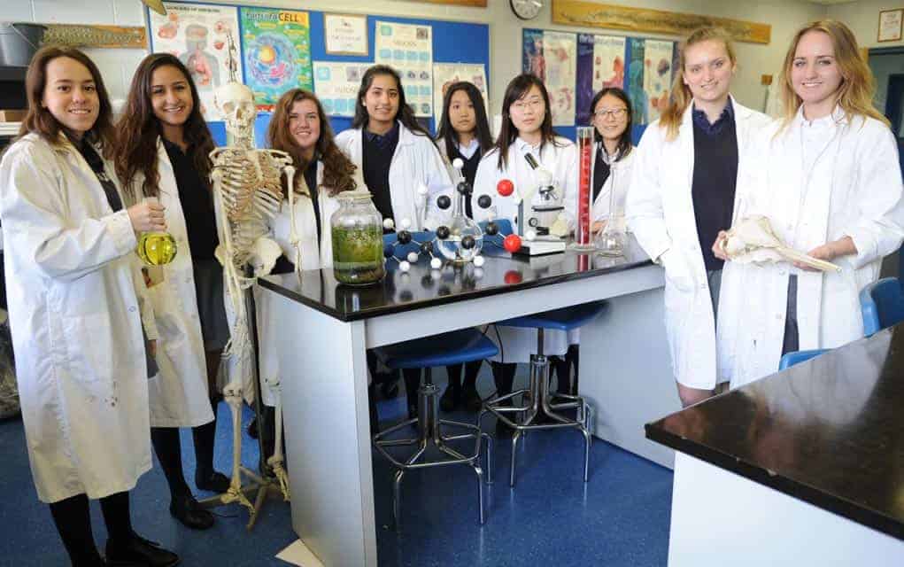 SJK event encourages girls to roll with their scientific curiosity