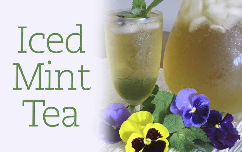                      Herbs from the garden make a refreshing iced tea                             
                     