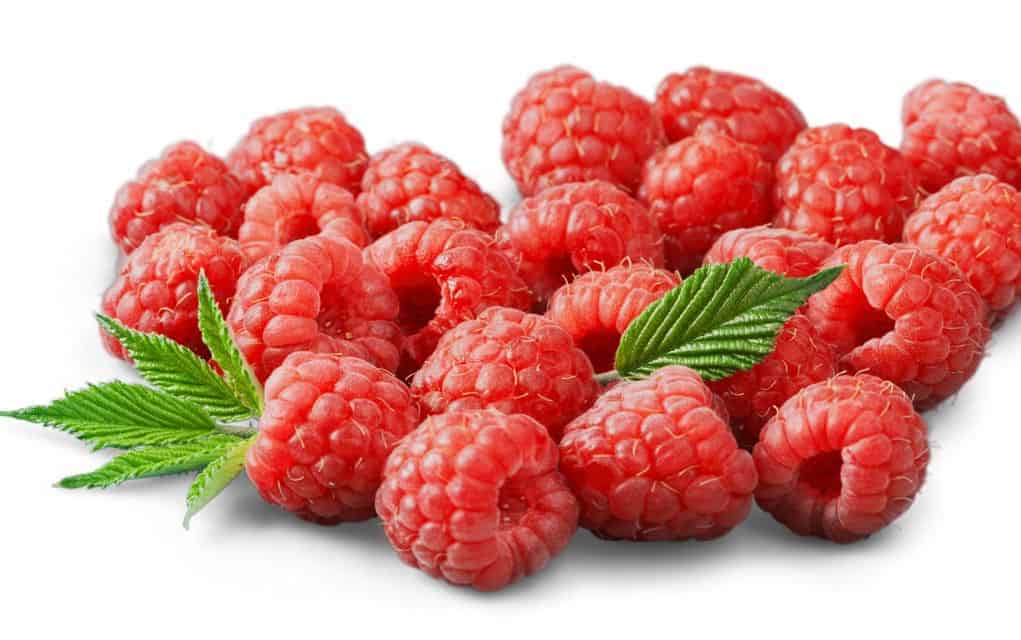                      Raspberries have many options beyond jams                             
                     