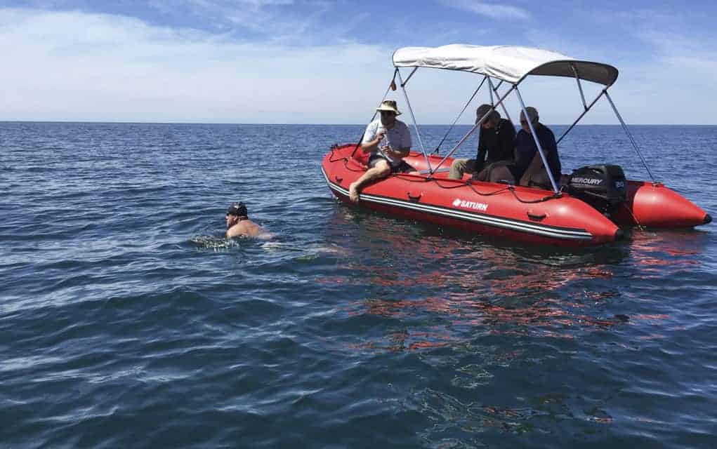 
                     Just warming up, swimmer sets Lake Erie record
                     