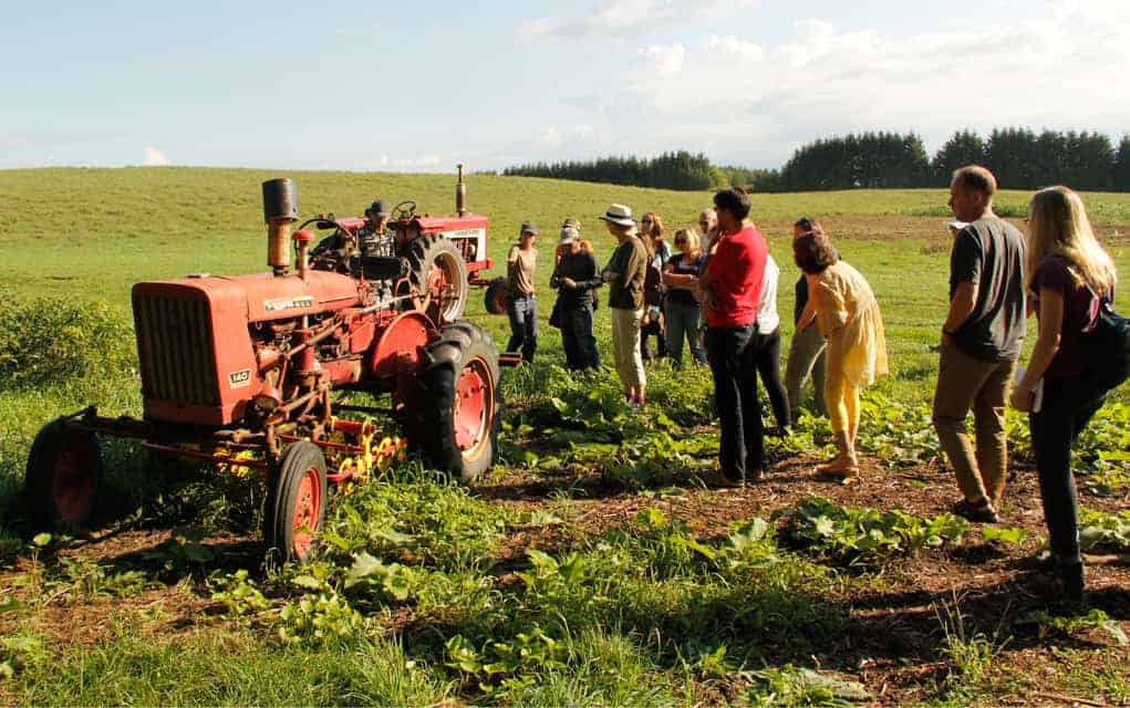 Grant furthers ecological farming research