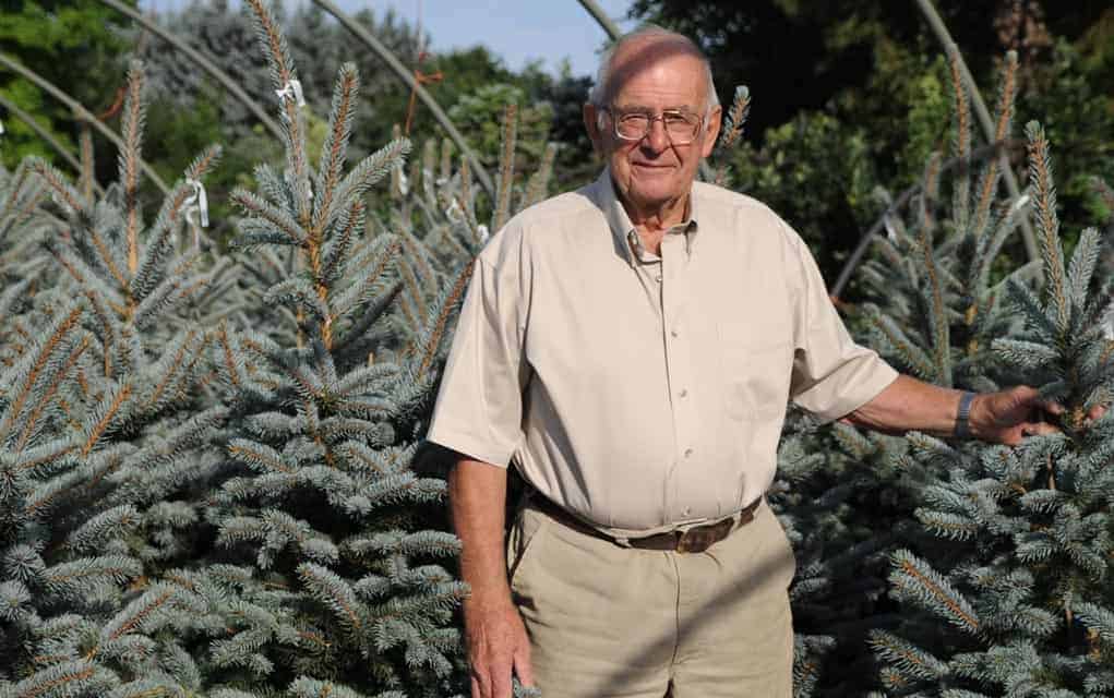                      Christmas trees take center stage at Commercial Tavern show Sunday                             
                     