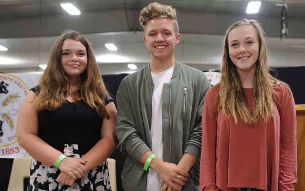 Three young singers move on to the final round of Wellesley Idol