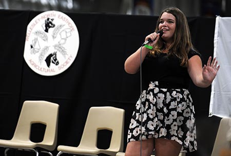 news_wellesleyidol_post1