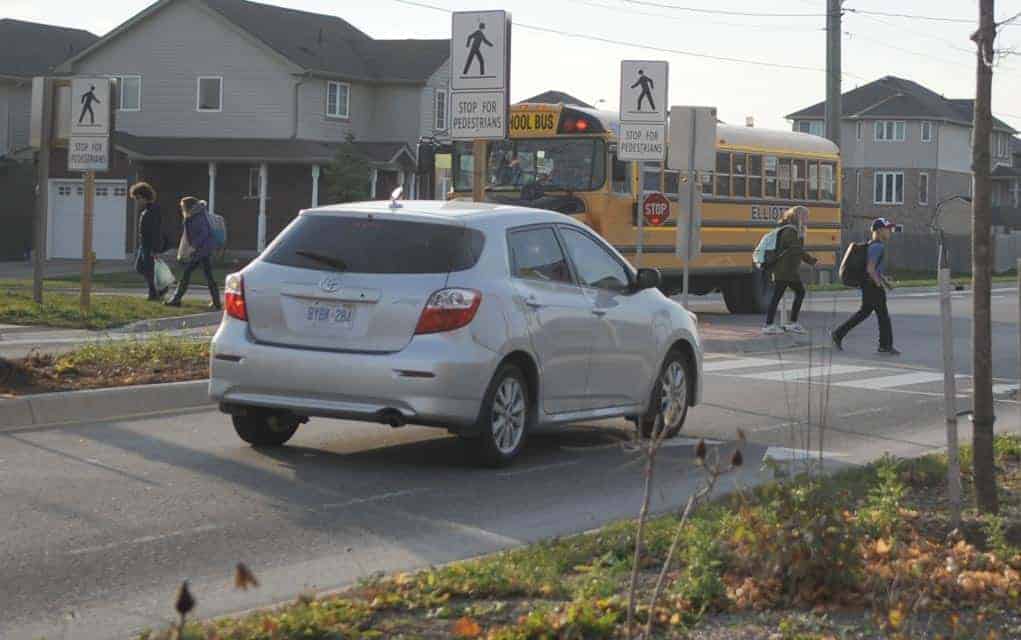                      Poor design of Elmira crosswalk has councillor worried about school crossing                             
                     