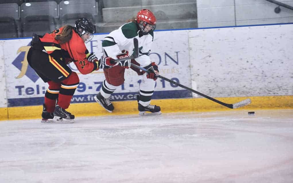                      EDSS girls’ hockey team hungry for redemption this season                             
                     